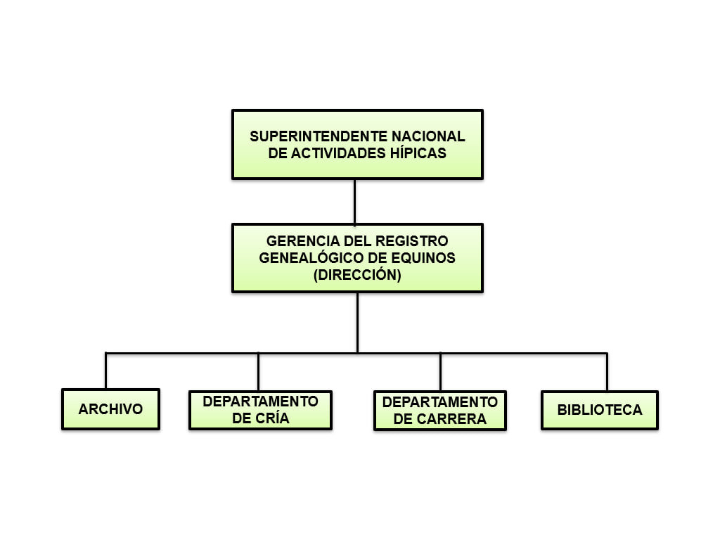 organigrama